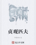貞觀匹夫