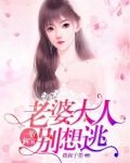 一胎倆寶，老婆大人别想逃
