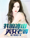 我的冰山美女老婆（又名：我的白富美老婆）