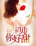 總裁老公夜夜寵：寶貝你好甜