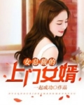 女總裁的上門女婿（又名：王婿、醫婿）