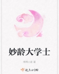 妙齡大學士