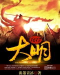 大明1617