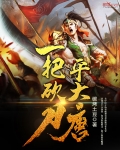 一把砍刀平大唐