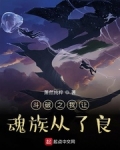 鬥破之我讓魂族從了良