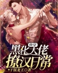 快穿：黑化大佬撩漢日常