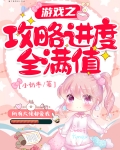 遊戲之攻略進度全滿值