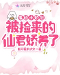 福運小嬌包被撿來的仙君嬌養了