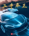 二手車王