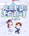 從追老婆開始走向巅峰