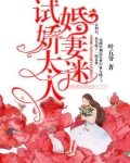 試婚嬌妻太迷人