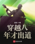 穿越八年才出道
