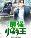鄉村：最強小藥王