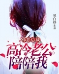 高冷老公，陪陪我