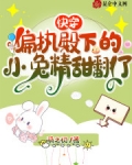 快穿偏執殿下的小兔精甜翻了