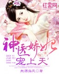 神醫嬌妃寵上天
