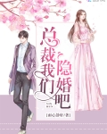 總裁我們隐婚吧