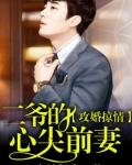 攻婚掠情，二爺的心尖前妻