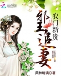 農門新貴：邪王追妻