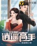 女總裁的逍遙高手