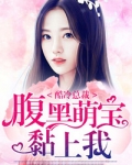 酷冷總裁，腹黑萌寶黏上我