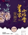 穿越之皇家小福晉