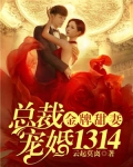 金牌甜妻，總裁寵婚1314