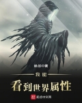 我能看到世界屬性