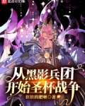 從黑影兵團開始聖杯戰争