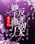 重生後她手撕了反派劇本