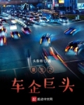 重生之車企巨頭
