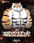 重生橘皮猛虎