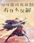 你可能對我的劍有什麼誤解