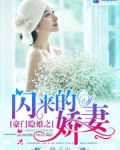 豪門隐婚之閃來的愛妻