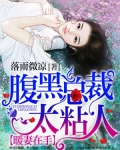 暖妻在手：腹黑總裁太粘人