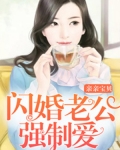 親親寶貝：閃婚老公強制愛