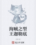 海賊之型王迦勒底