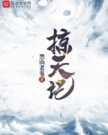 掠天記