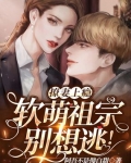 撩妻上瘾：軟萌祖宗别想逃！