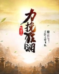 明末之力挽狂瀾