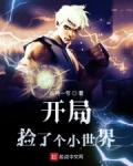 開局撿了個小世界