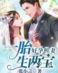 好孕鮮妻，一胎生兩寶