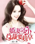 嬌妻還小，總裁要趁早(又名:帝國老公狠狠愛)