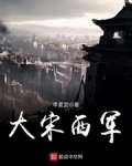 大宋西軍
