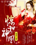 驚世神凰