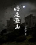 暗夜逐兇