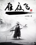 雁夜飛