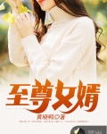 至尊女婿