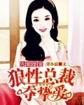 先葷厚寵：狼性總裁奪摯愛