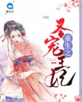 重生之聖寵王妃